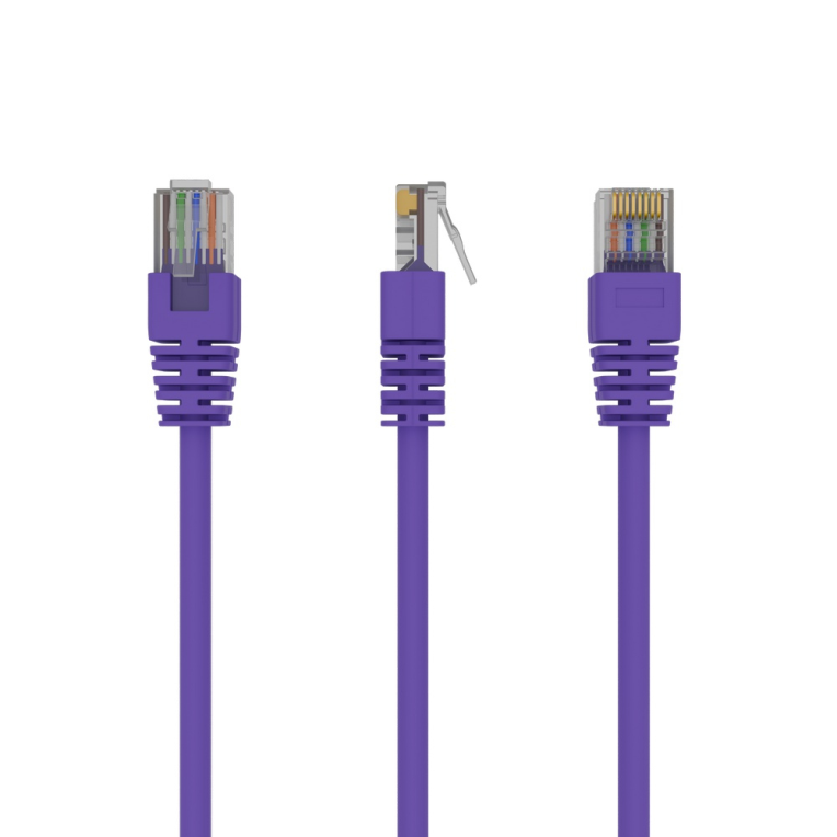 Gembird RJ45/RJ45 Cat5e 1m cable de red Púrpura U/UTP (UTP)