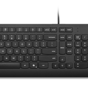 Lenovo Essential Wired Combo (ES 172) teclado Ratón incluido Universal USB Español Negro