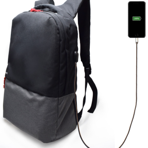 Ewent EW2529 Maletín Mochila para Portátil 17.3" Negro - Protección y Comodidad